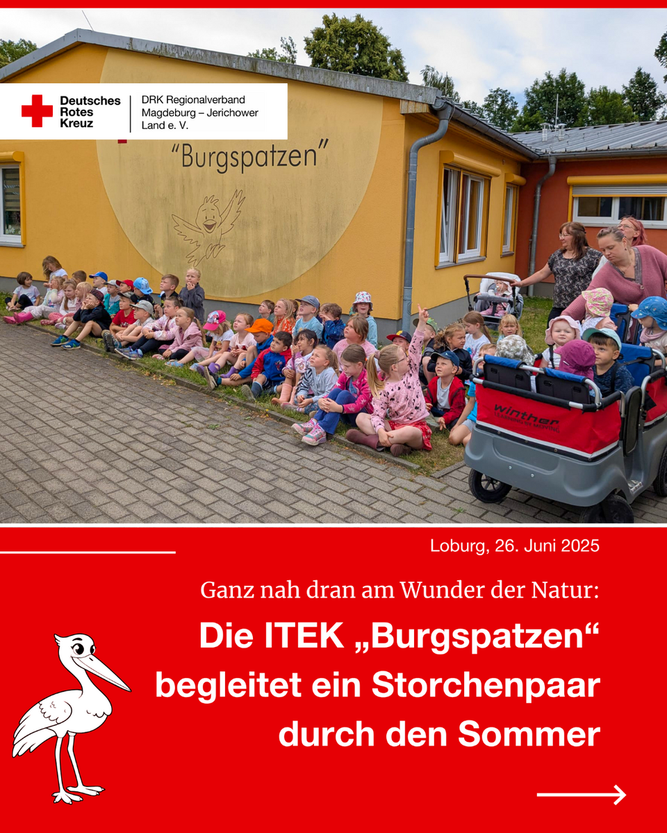 Eine große Kindergruppe sitzt vor der gelben Wand der ITEK „Burgspatzen“ in Loburg. Im Hintergrund ist das Kita-Logo mit dem Spatzen zu sehen. Rechts stehen Erzieherinnen mit Krippenkindern in einem Krippenwagen. Die Kinder schauen gespannt nach oben – in Richtung des Storchennests.