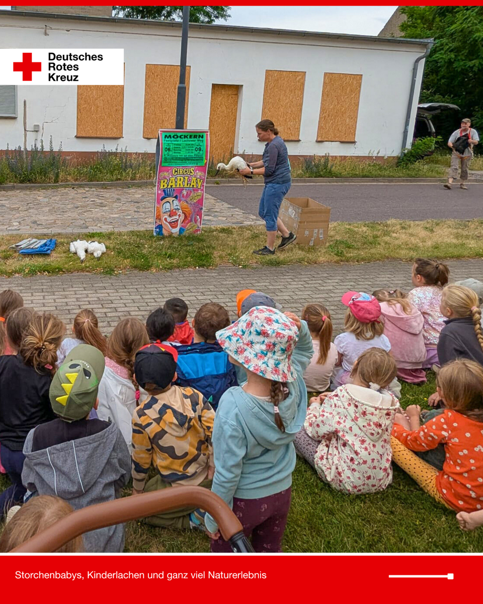 Eine Frau hält einen Jungstorch vor einer Kindergruppe hoch. Im Hintergrund ist ein Zirkusplakat am Laternenmast zu sehen, die Kinder sitzen auf dem Rasen und schauen gespannt zu.
